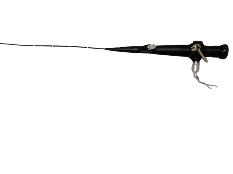 IMG-20240905-WA0029-removebg